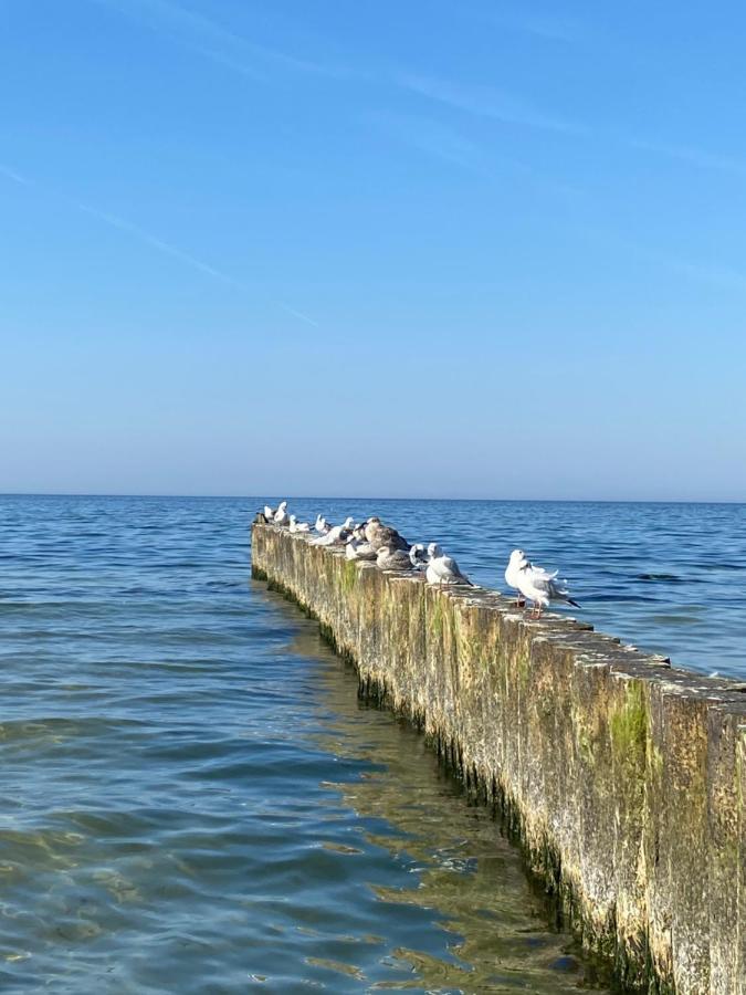 Apartament Kolobrzeg Resort Εξωτερικό φωτογραφία